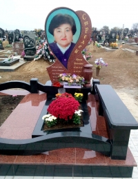 Памятник в  Кропивницком